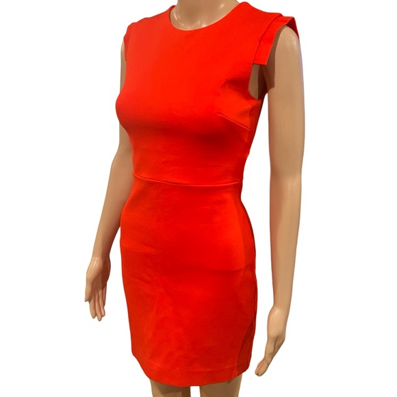 Stunning Babaton dress - Picture 2 of 9